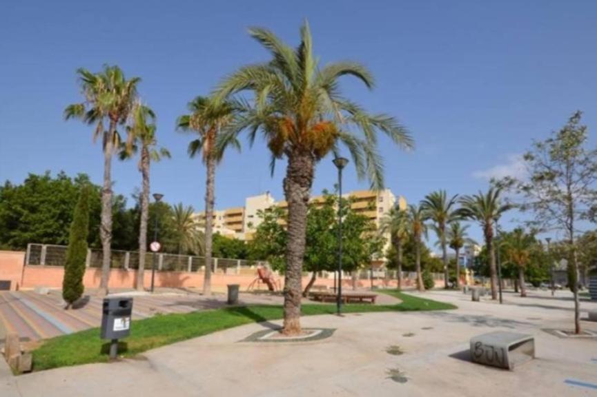 Apartamento Los Gases Torrevieja Eksteriør billede